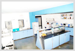 Institute of Biosciences & Technology, Aurangabad